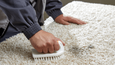 Professional Rug Cleaning Flinders